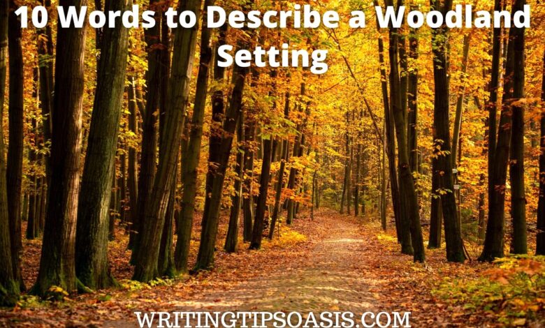 A Lake in the Woods